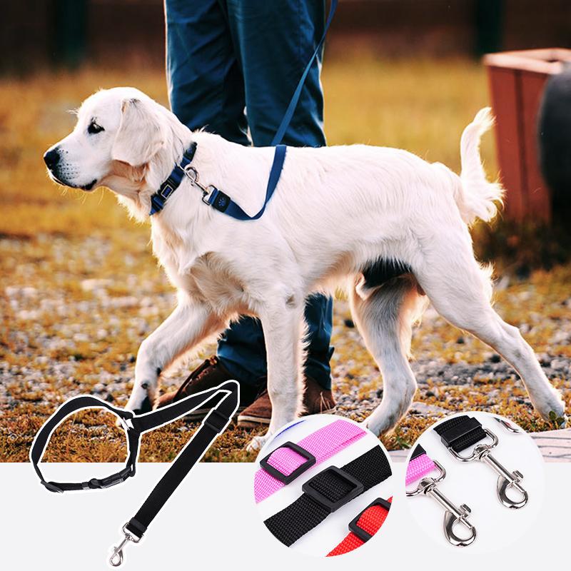 DoggyGuard™ CarLeash 1+1 GRATIS: Justerbar Sikkerhed Kæledyr Autostol Snor