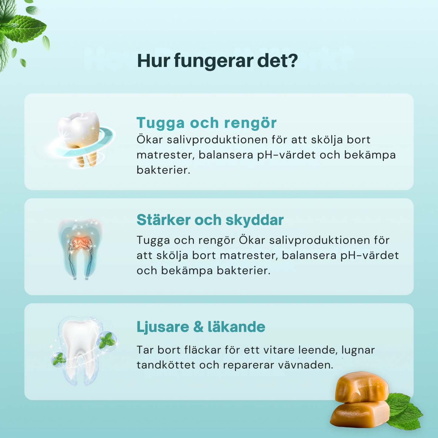 Mintara™ | Sluta Borsta, Börja Tugga
